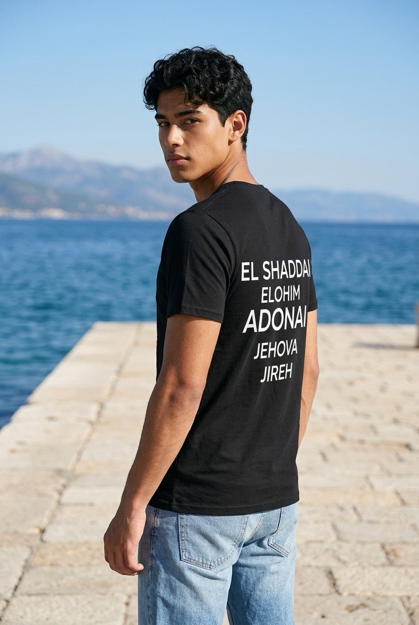 Zwart heren T-shirt